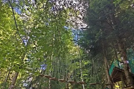 Le Limonadier * Pruniere